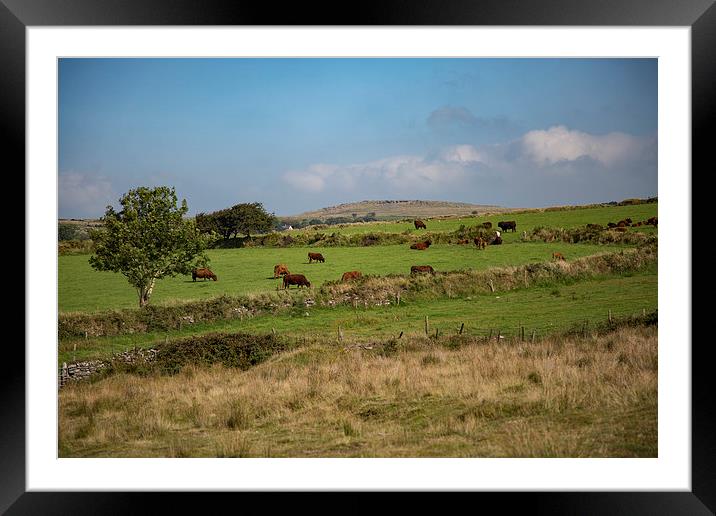 The view from Nampara, Bodmin Moor, Cornwall Framed Mounted Print by Brian Pierce