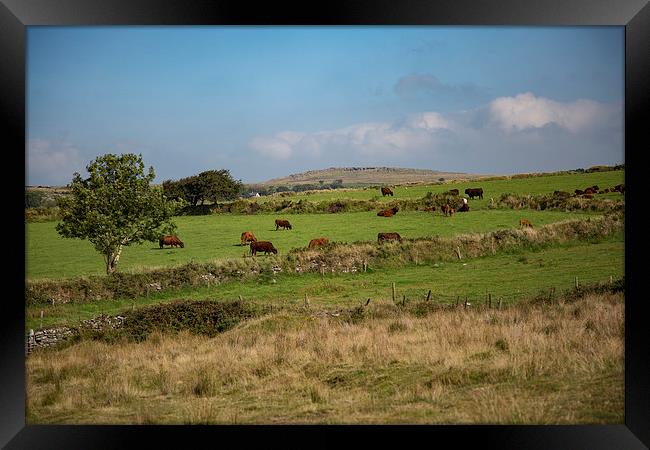 The view from Nampara, Bodmin Moor, Cornwall Framed Print by Brian Pierce