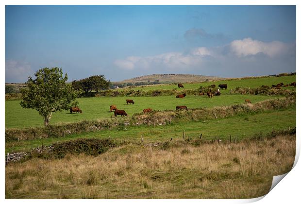 The view from Nampara, Bodmin Moor, Cornwall Print by Brian Pierce