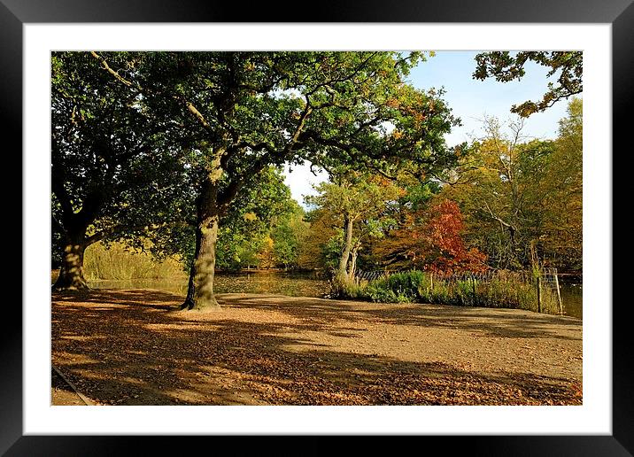  Epping Forest Lake Framed Mounted Print by Diana Mower