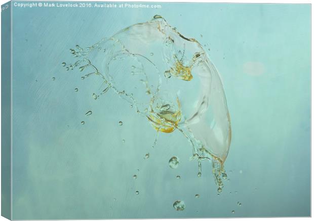 Jelly fish Canvas Print by Mark Lovelock