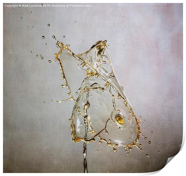  Playing with water 6 Print by Mark Lovelock