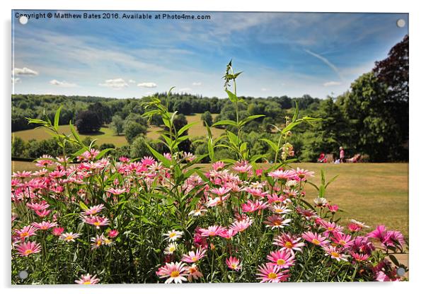 Surrey view Acrylic by Matthew Bates