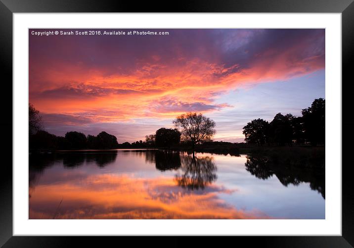 Sunrise on a Waters Edge Framed Mounted Print by Sarah Scott
