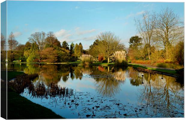 Burnby Hall Gardens Canvas Print by Sarah Couzens