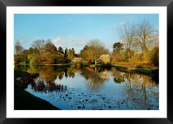 Burnby Hall Gardens Framed Mounted Print by Sarah Couzens