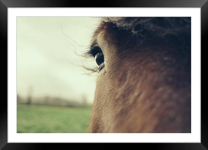  Brown Horse Eye Closeup Framed Mounted Print by Patrycja Polechonska