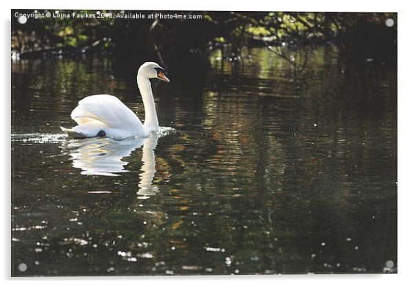 Swan Lake  Acrylic by Lorna Faulkes