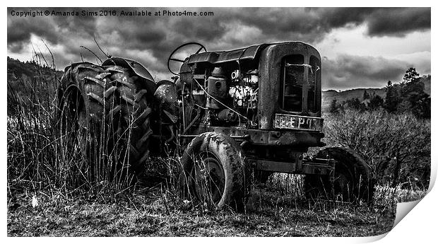  Old Tractor Print by Amanda Sims