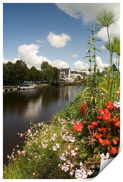 A flower display on the riverbank, Pontivy, France Print by Simon Armstrong