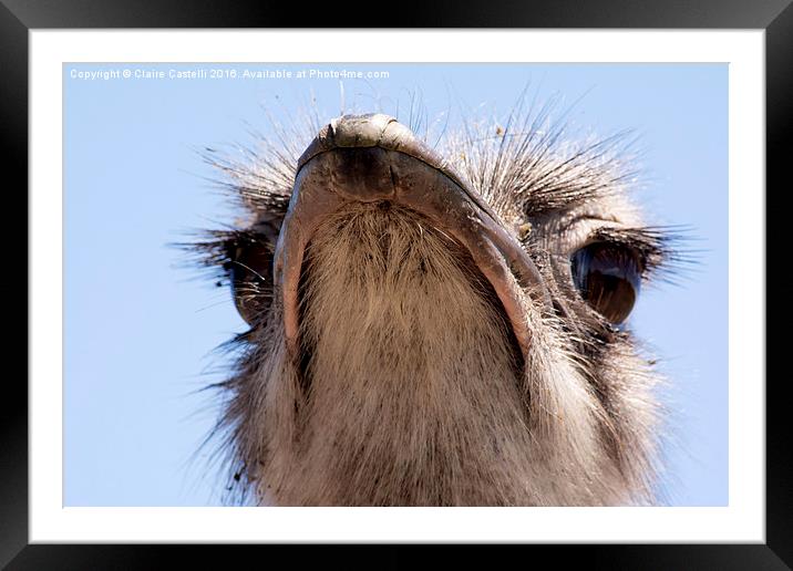  What you looking at? Framed Mounted Print by Claire Castelli