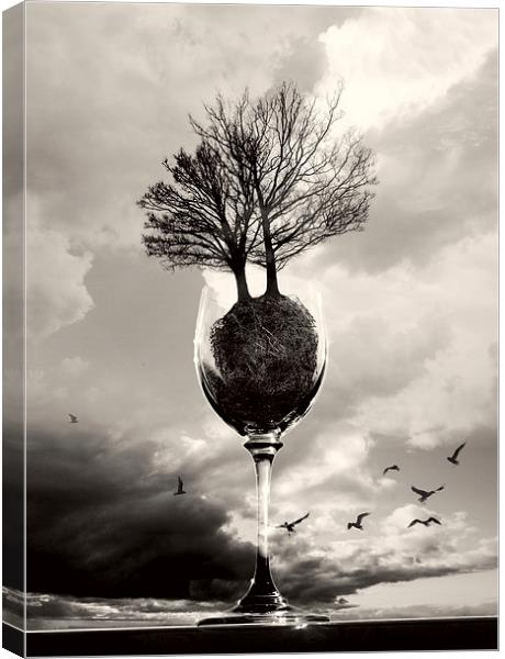 Glass Of Tree B&W Canvas Print by Florin Birjoveanu