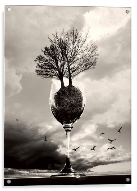 Glass Of Tree B&W Acrylic by Florin Birjoveanu