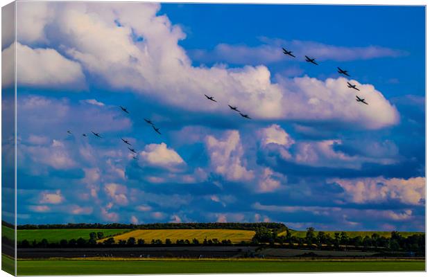  The Big Wing Canvas Print by Stephen Ward