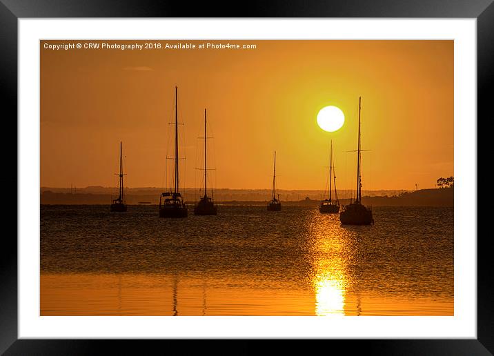  Golden Yachts Framed Mounted Print by CRW Photography