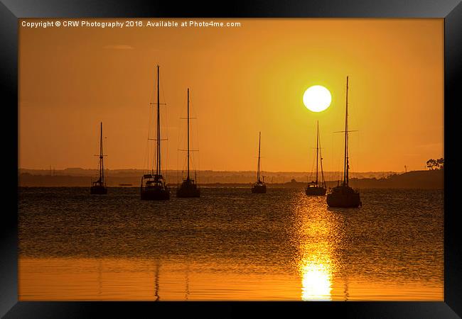  Golden Yachts Framed Print by CRW Photography