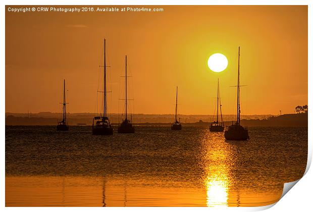  Golden Yachts Print by CRW Photography