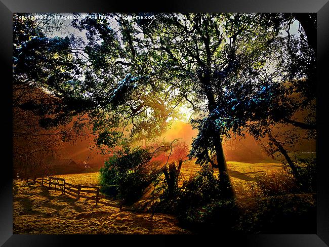  sunny countryside Framed Print by Derrick Fox Lomax