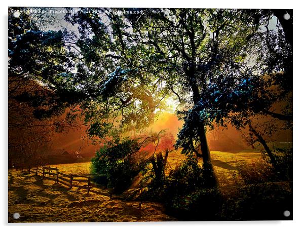  sunny countryside Acrylic by Derrick Fox Lomax