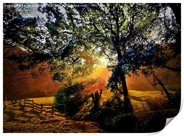  sunny countryside Print by Derrick Fox Lomax