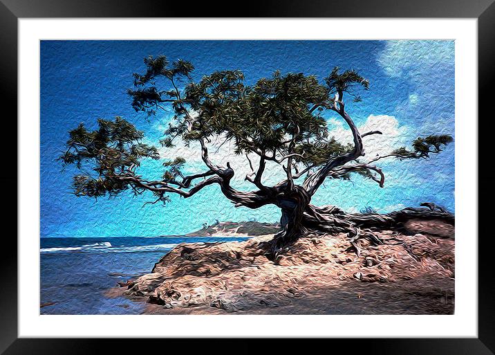 Grand Tree at Treasure Beach  Framed Mounted Print by james balzano, jr.