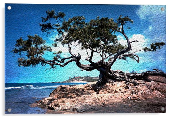 Grand Tree at Treasure Beach  Acrylic by james balzano, jr.