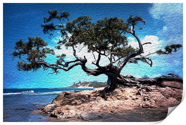 Grand Tree at Treasure Beach  Print by james balzano, jr.
