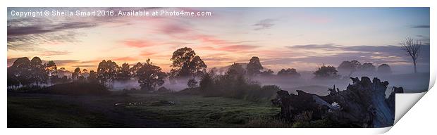  Morning mist over paddock Print by Sheila Smart