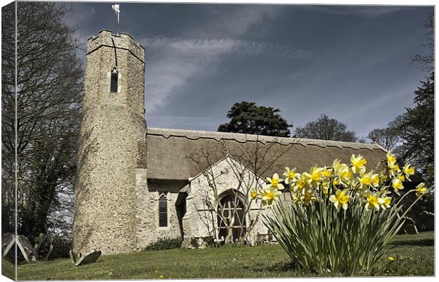 Daffodils at Horsey Church, Norfolk Canvas Print by Stephen Mole