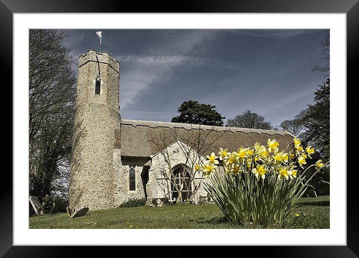 Daffodils at Horsey Church, Norfolk Framed Mounted Print by Stephen Mole