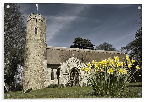 Daffodils at Horsey Church, Norfolk Acrylic by Stephen Mole