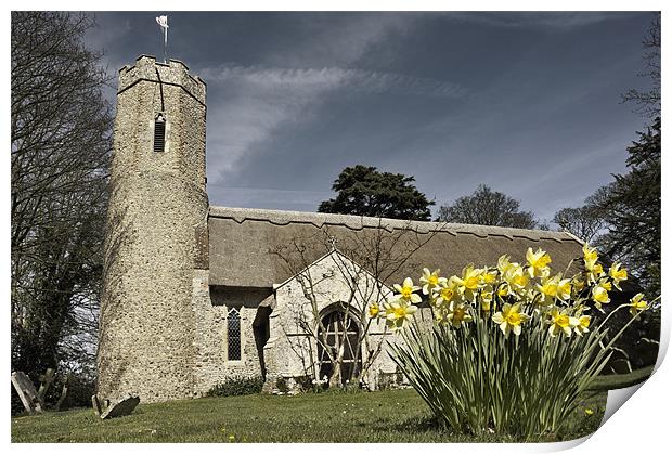 Daffodils at Horsey Church, Norfolk Print by Stephen Mole