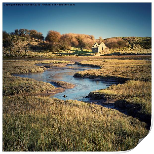  Chapel of Rest Ruin, Alnmouth. Print by Paul Appleby