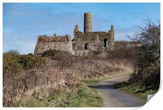 South Wheal Frances, Great Flat Lode, Cornwall Print by Brian Pierce