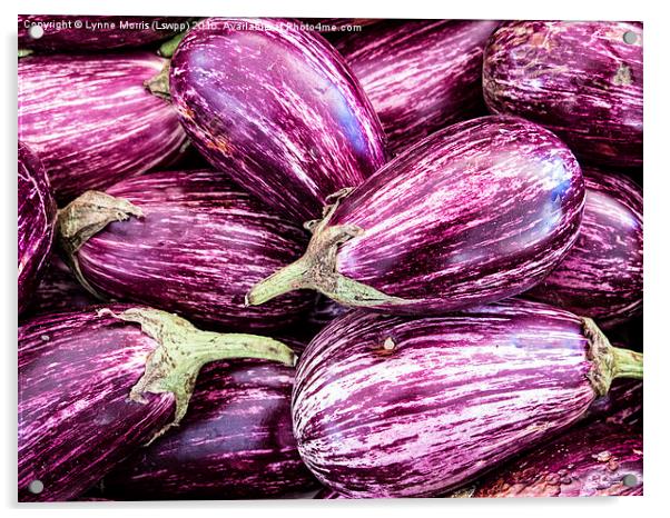  Purple Aubergines Acrylic by Lynne Morris (Lswpp)