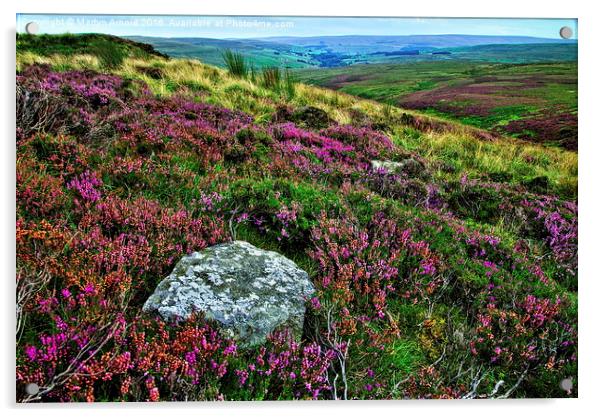 Heather on the Grouse Moor Acrylic by Martyn Arnold