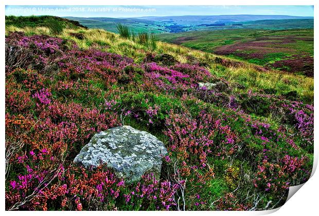  Heather on the Grouse Moor Print by Martyn Arnold