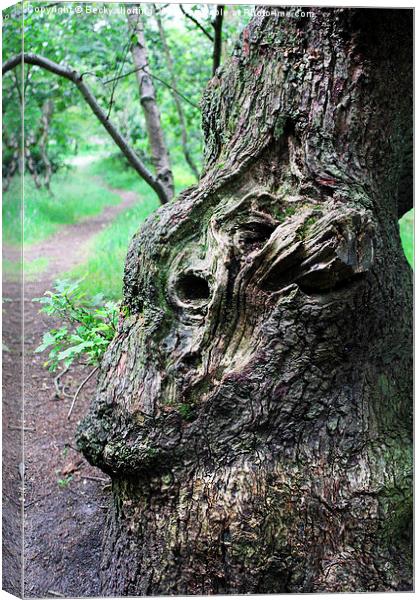  Face in the Bark Canvas Print by Becky shorting