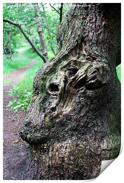  Face in the Bark Print by Becky shorting