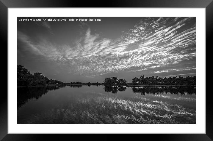  Reflections of Hatchet Pond,New Forest in b&w Framed Mounted Print by Sue Knight