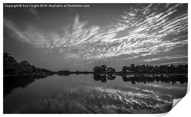  Reflections of Hatchet Pond,New Forest in b&w Print by Sue Knight