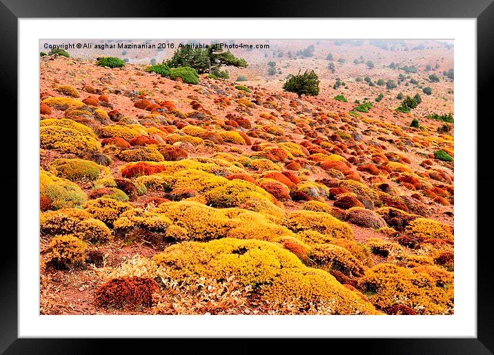 The beauty of Autumn , Framed Mounted Print by Ali asghar Mazinanian