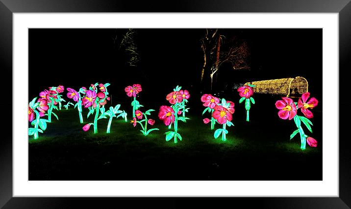  Kew Botanical gardens at night Framed Mounted Print by Tony Bates