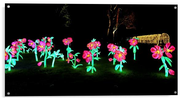  Kew Botanical gardens at night Acrylic by Tony Bates