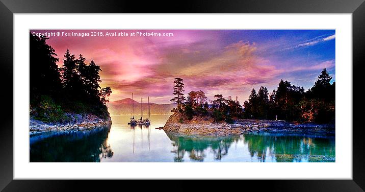  morning sun and boat Framed Mounted Print by Derrick Fox Lomax