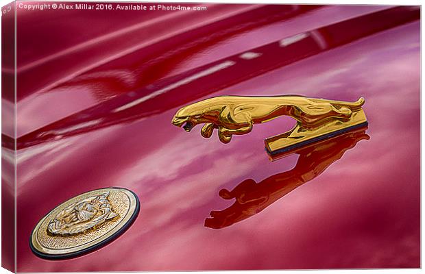  Car Emblem Canvas Print by Alex Millar