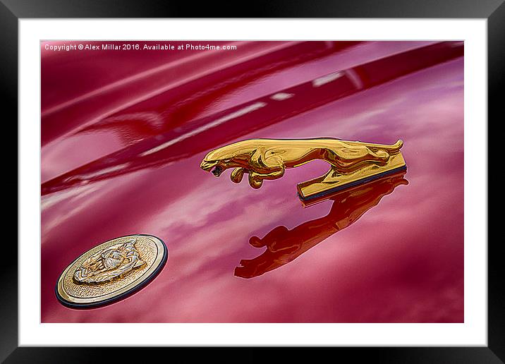  Car Emblem Framed Mounted Print by Alex Millar
