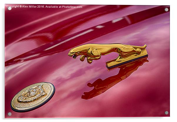  Car Emblem Acrylic by Alex Millar