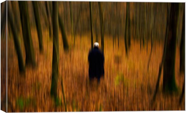 The Man in the Woods Canvas Print by Abdul Kadir Audah