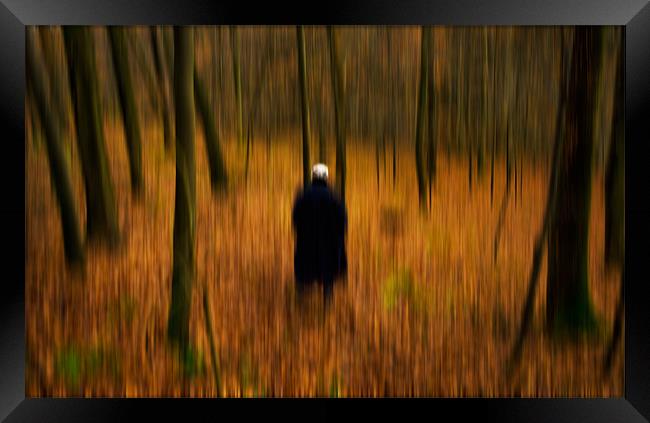 The Man in the Woods Framed Print by Abdul Kadir Audah